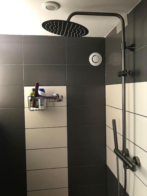 Studio 1 A 4 Pers, Proche Strasbourg, Europa-Park, Colmar Erstein Buitenkant foto